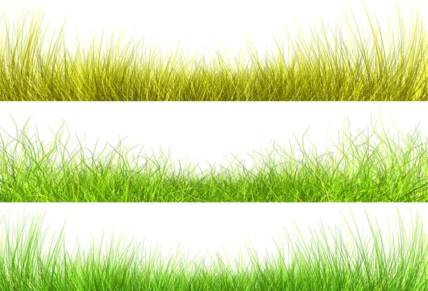 Pozadí trávy — Stock fotografie