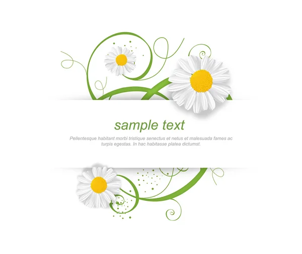 Bannière florale avec camomilles — Image vectorielle