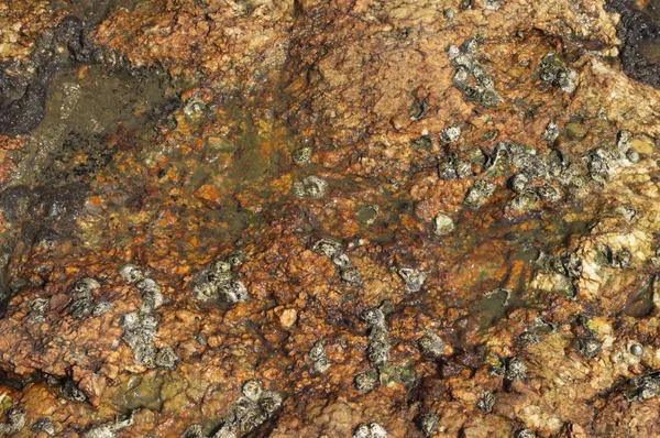 Textura piedra — Foto de Stock