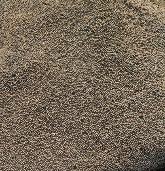 Surface of stone