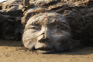 shiva, vagator karşısında