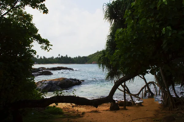 Stränderna i Sri Lanka — Stockfoto