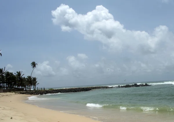 Beaches of Sri Lanka — Stock Photo, Image