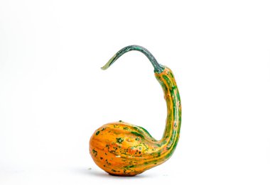 Beyaz arka planda sıra dışı şekilli balkabakları. Yüksek kalite fotoğraf