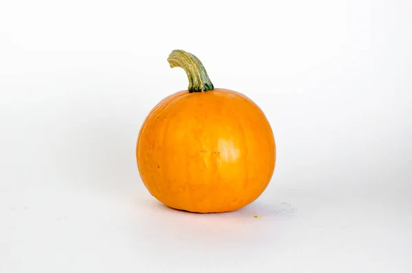 Okrągła Pomarańczowa Dynia Gałązką Białym Tle Wysokiej Jakości Zdjęcie — Zdjęcie stockowe