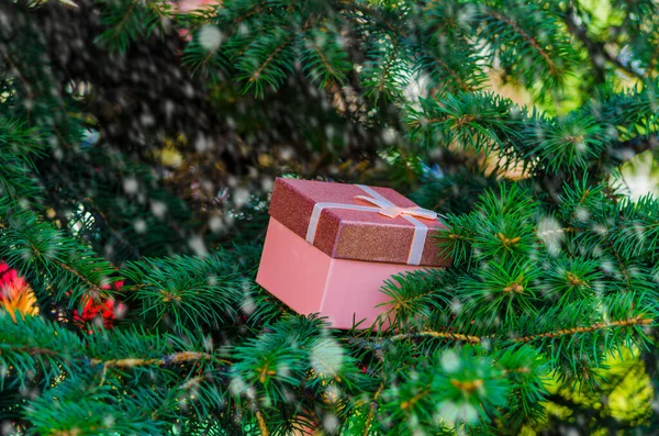 상자에는 폭설보케를넣은 분홍색 상자가 고품질 — 스톡 사진