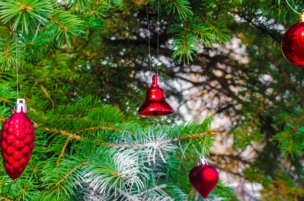 Patrón Rojo Adornos Navidad Ramas Abeto 2022 Foto Alta Calidad —  Fotos de Stock