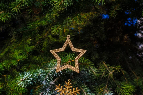 Estrelas Natal Vermelhas Ramos Abeto Natal Decorativo Foto Alta Qualidade — Fotografia de Stock