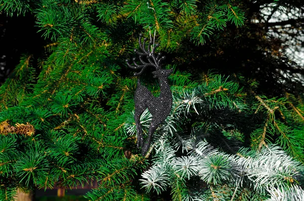 Jul dekoration svart rådjur på gröna grangrenar — Stockfoto