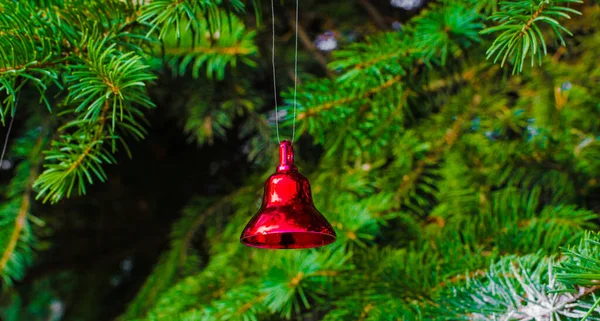 Pequeñas Campanas Navidad Ramas Abeto Copiar Espacio Foto Alta Calidad —  Fotos de Stock