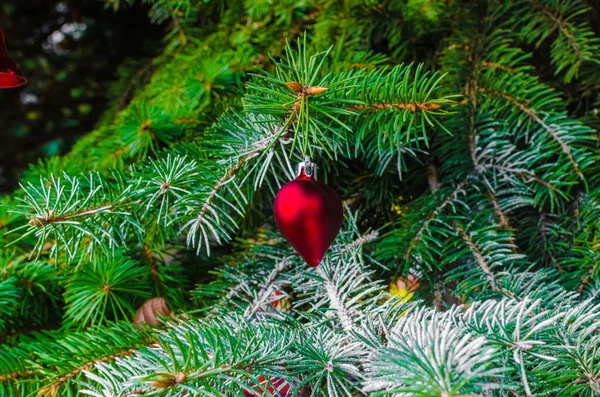 Patroon rode kerstversiering op sparren takken 2022 — Stockfoto