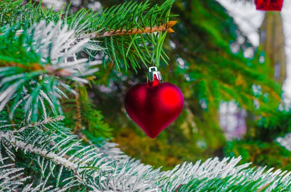 2022 yılındaki köknar dallarında kırmızı noel süslemeleri. Yüksek kalite fotoğraf