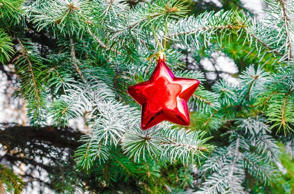 Estrelas Natal Vermelhas Ramos Abeto Natal Decorativo Foto Alta Qualidade — Fotografia de Stock