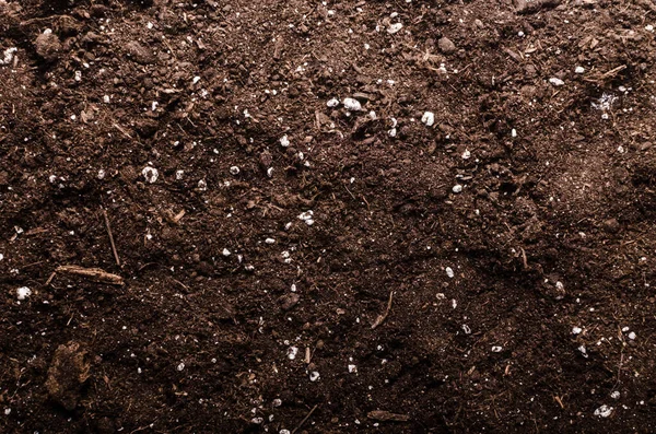 Solo Negro Para Plantio Fertilização Câmara Superior Vista Superior Alta — Fotografia de Stock