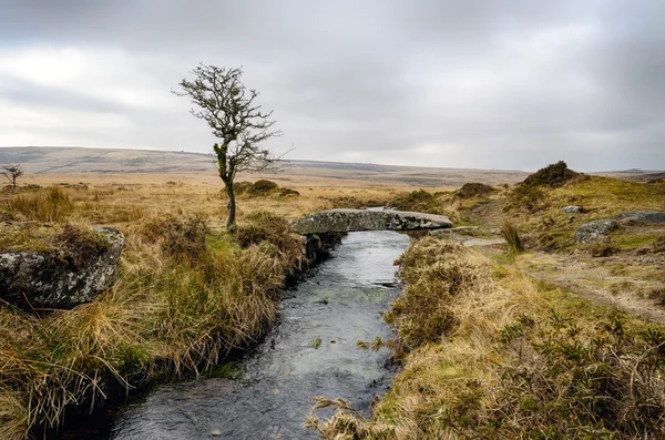 Vinter i dartmoor — Stockfoto