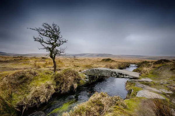 Χειμώνα στο dartmoor — Φωτογραφία Αρχείου