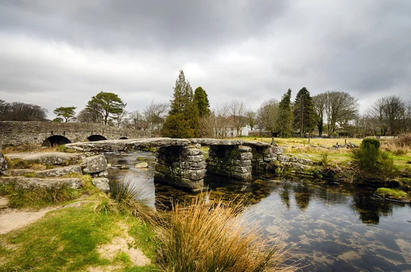 Ponte de palmas em Darmoor, Devon — Fotografia de Stock