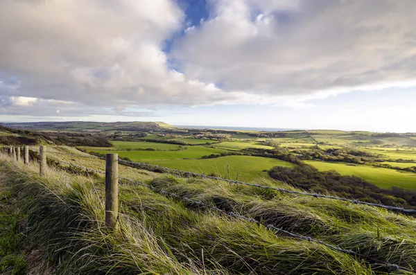 Campagna del Dorset — Foto Stock