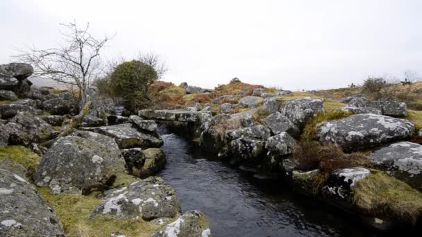 Dartmoor Stream e Clapper Bridge — Video Stock