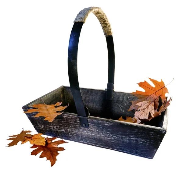 Trug de jardin avec feuilles d'automne — Photo