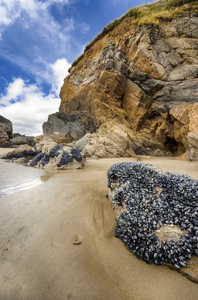 Towering Ciffs em uma praia de areia — Fotografia de Stock