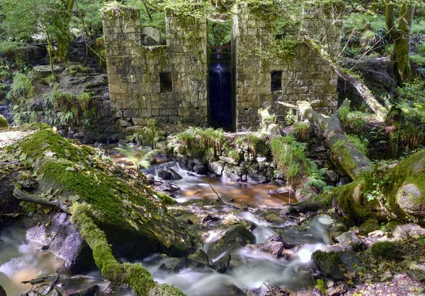 Kennal Vale — Stok fotoğraf