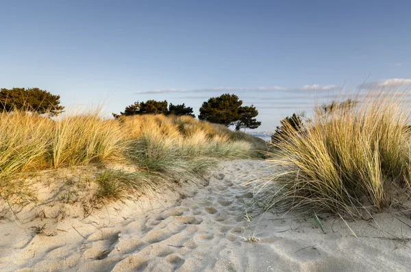 Sanddünen an Sandbänken — Stockfoto