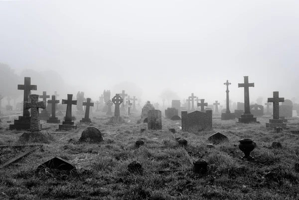 Foggy Cemetery Background — Stock Photo, Image