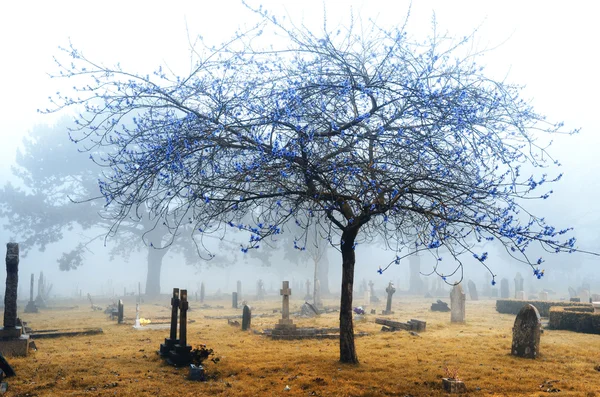 Cemitério Foggy infravermelho — Fotografia de Stock