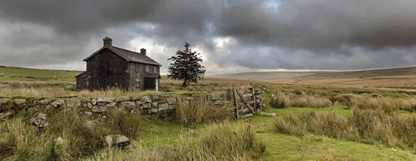 Dartmoor — Photo
