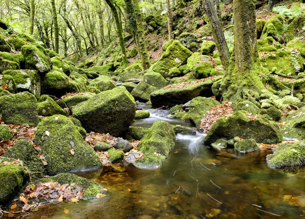 Corriente Dartmoor — Foto de Stock