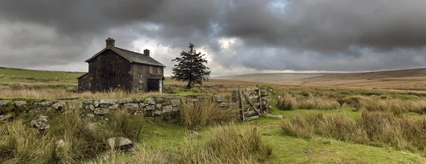 Park narodowy dartmoor Obraz Stockowy