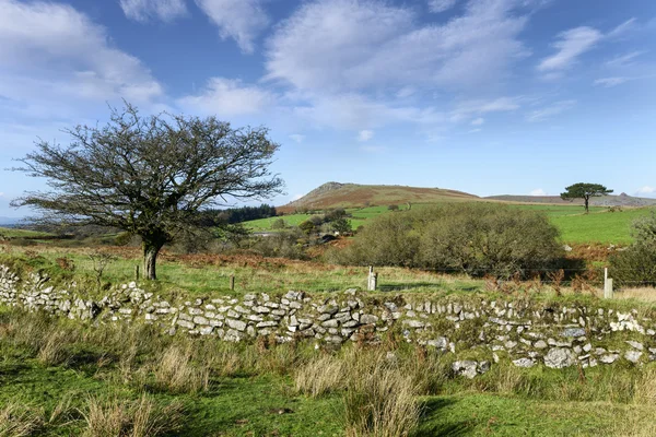 Dartmoor weergave — Stockfoto