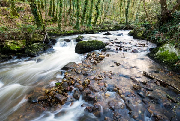 De rivier par — Stockfoto