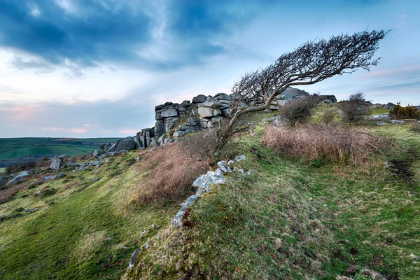 Windswept Moors — Stock Photo, Image