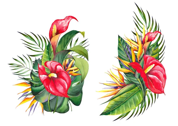 Kırmızı anthurium, strelitzia, heliconia ve palmiye yapraklı tropikal çiçek aranjmanları. — Stok fotoğraf