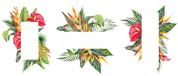 Ensemble de cadre avec fleurs tropicales et feuilles de palmier. — Photo