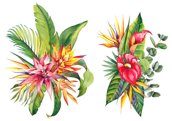 Floral arrangements with tropical flowers, eucalyptus and palm leaves. Watercolor illustration on white background.