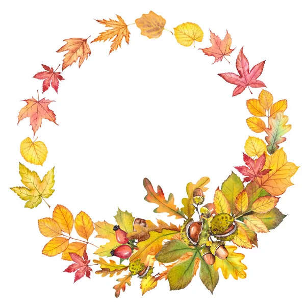 Coroa de outono com folhas coloridas. — Fotografia de Stock