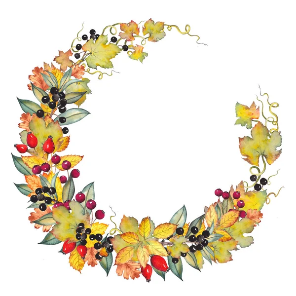 Demi věnec s podzimními listy a bobulemi. — Stock fotografie