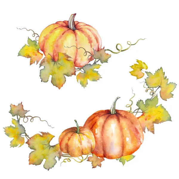 Autumn pumpkins with green leaves and branches. — Stock Photo, Image