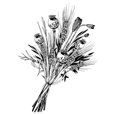 Buğday filizi ve haşhaş tohumu kutularıyla buket hasat edin..