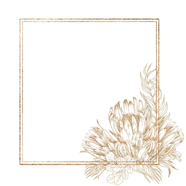 Marco cuadrado de protea floral sobre fondo blanco. Ilustración gráfica de línea dorada. — Foto de Stock