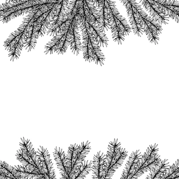 Armature de branches de pin forestier sur fond blanc. — Image vectorielle