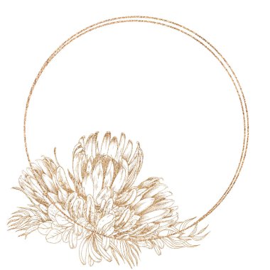 Beyaz arka planda çiçek protea yuvarlak çerçeve. Altın çizgi grafik illüstrasyonu.