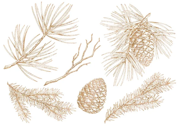 Conjunto de ramos de pinheiro e abeto. Ilustração gráfica da linha de ouro. — Fotografia de Stock