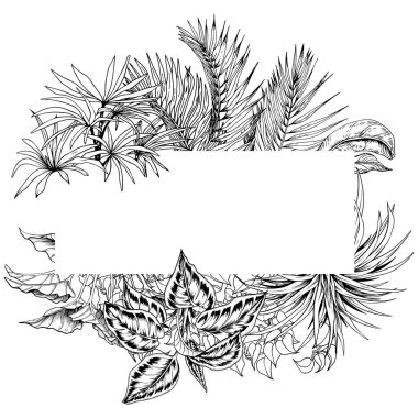 Tropik palmiye yaprakları çerçevesi.