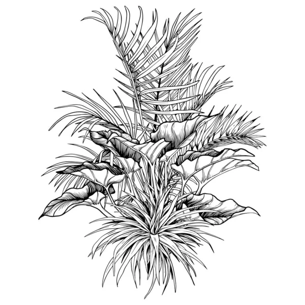 Tropik palmiye ağaçları ve filodendron yaprakları düzenleme. — Stok Vektör