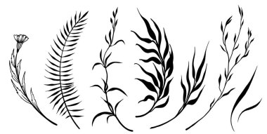 Dekoratif yapraklar ve dallar..