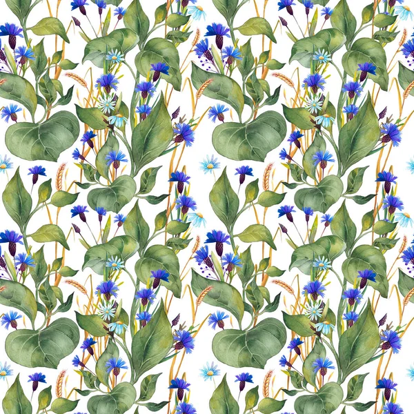 Seamless pattern with blue wildflowers, wheat spickelets and green leaves. — Stock Photo, Image